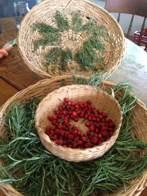 Thyme, rosemary, and hawthorne berries